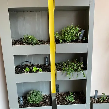 Cortirola Luxury דירה